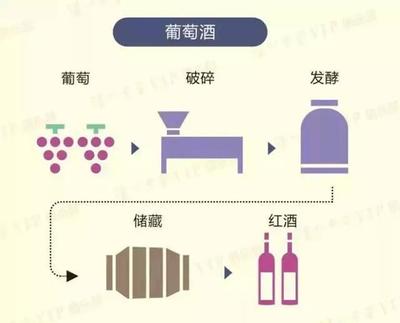 不同产区葡萄酒（产区特色融合）勾调工艺