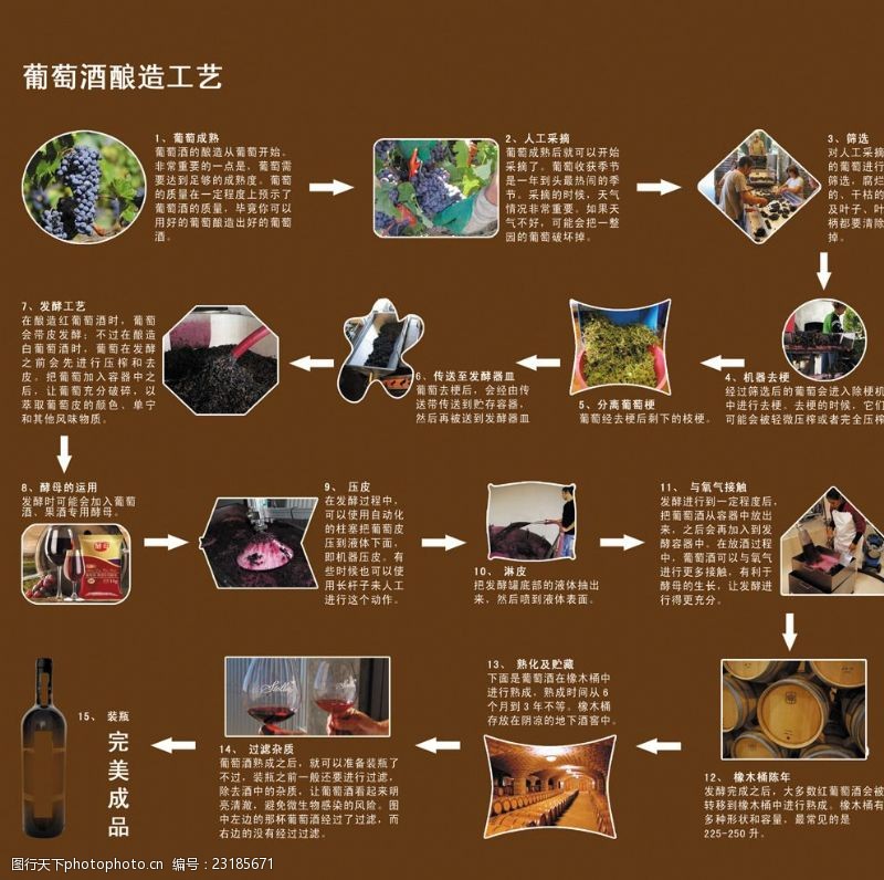 葡萄酒酿造工艺流程图ppt