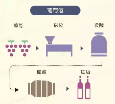 葡萄破碎与压榨工艺