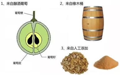 单宁的来源（葡萄皮 / 籽 / 梗，橡木桶）常识