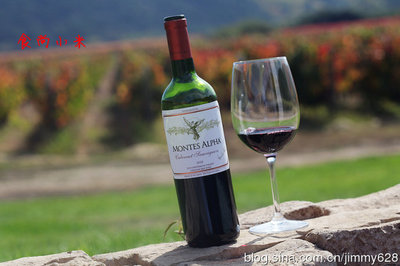 蒙特斯酒庄（Montes）