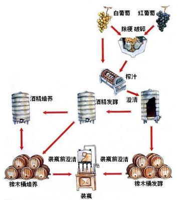 葡萄酒工艺流程图片