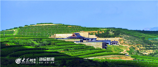 珑岱酒庄