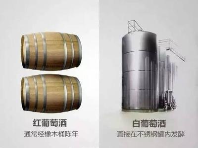 葡萄酒陈酿工艺（橡木桶 / 不锈钢罐 / 其他容器）