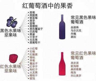 闻香环节与葡萄酒品质判断的关联常识